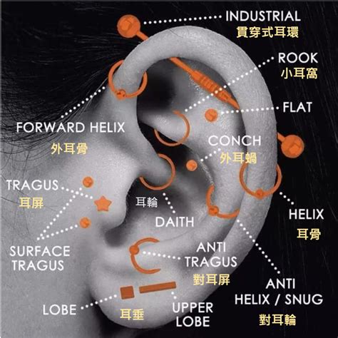 旺中穿耳骨